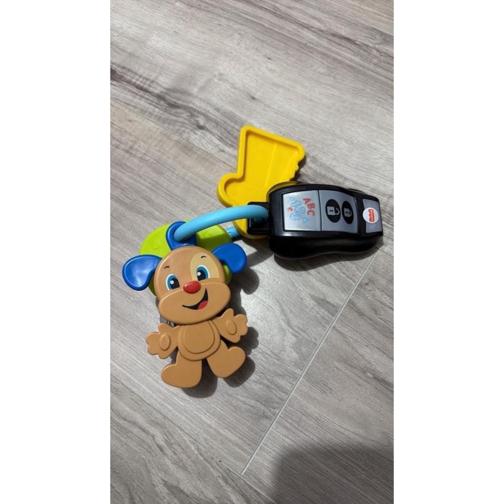 Fisher Price Laugh Learn Count Go Keys and Dinosaur Sensory Tissue Box Toy Lot